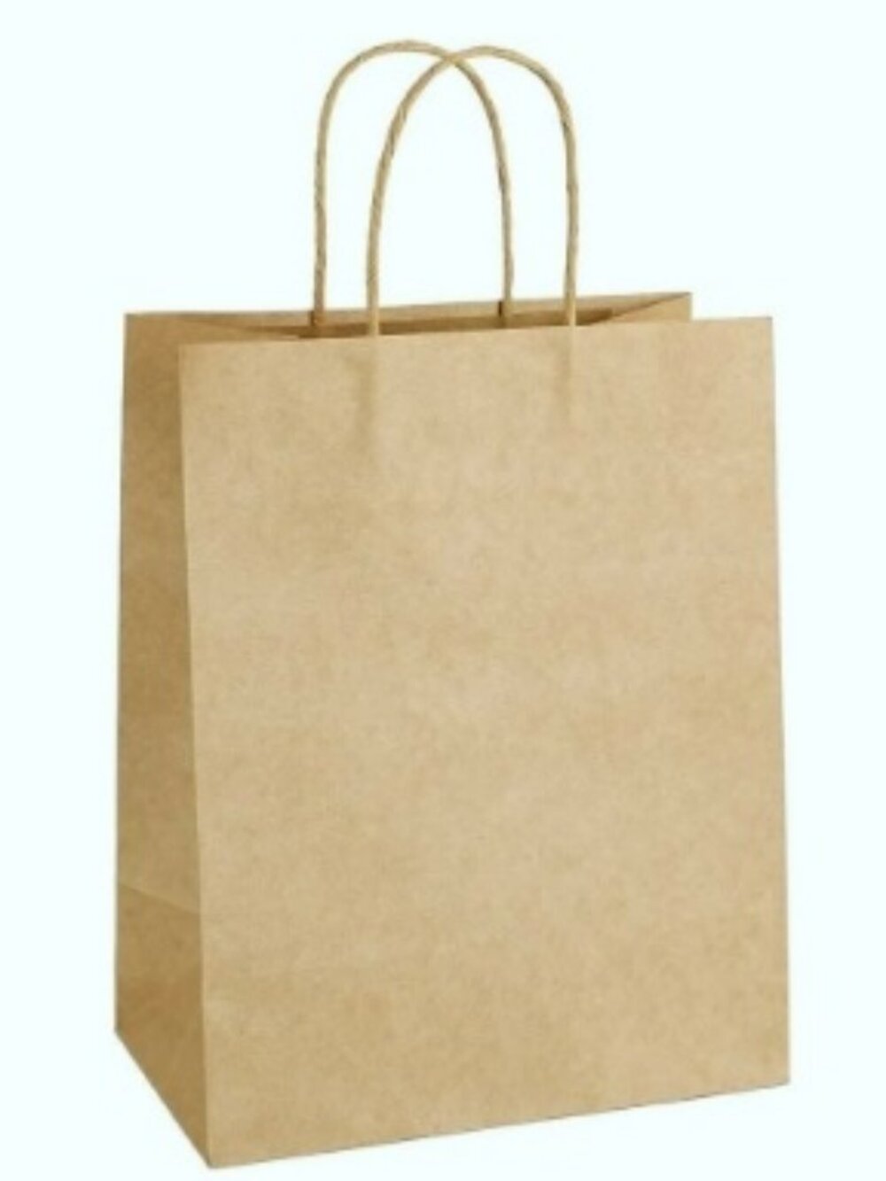Set of 12 Large Brown Paper Bags